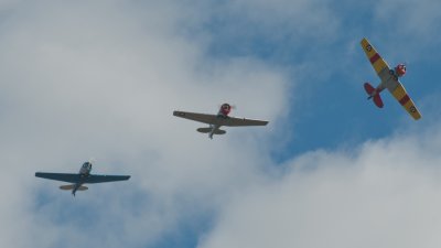 Flight of ThreeTexans