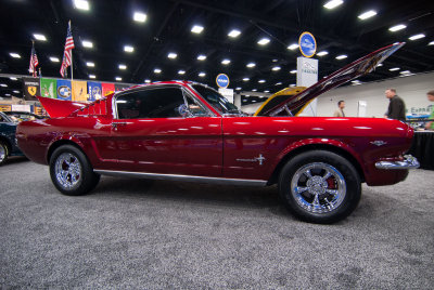Mustang Tribute