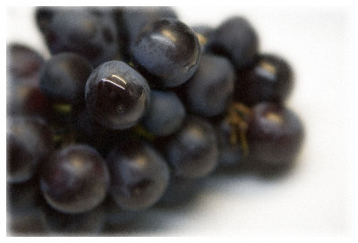 Simply Grapes