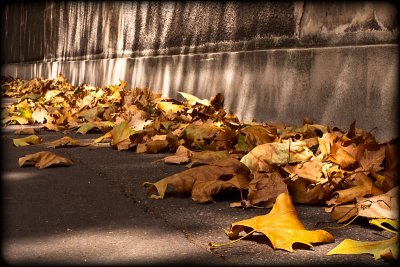 Autumn approaching