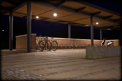 The Bicycle Shed