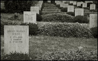 Danes resting in French Soil