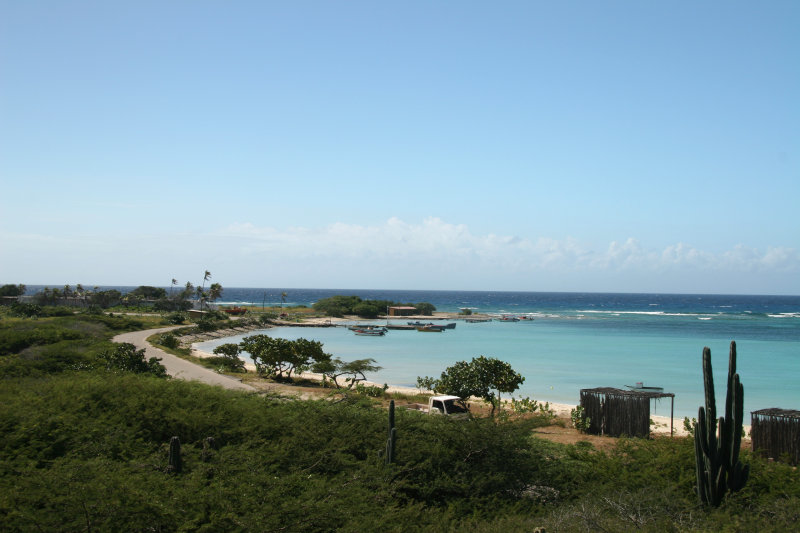 IMG_2004.JPG