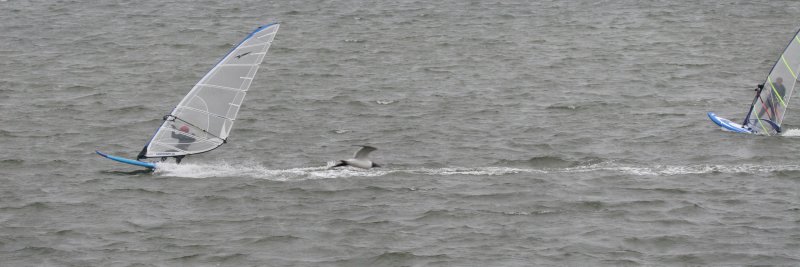 IMG_3224.JPG