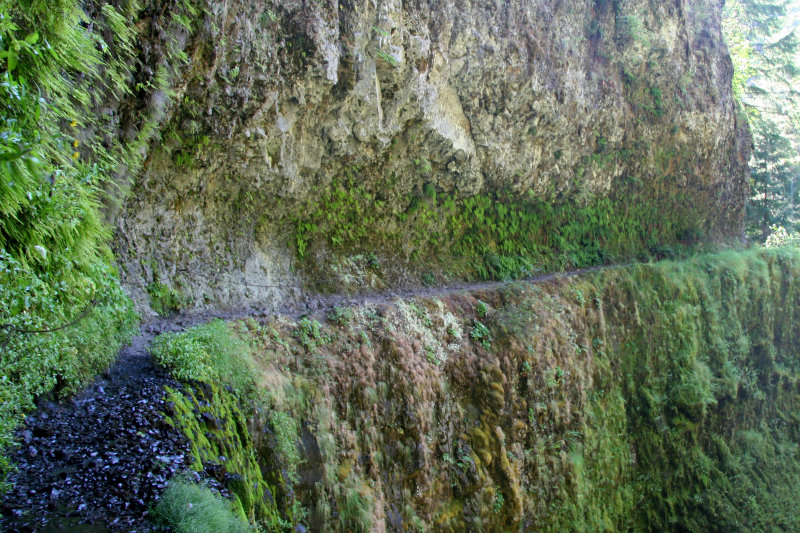 IMG_5500.JPG