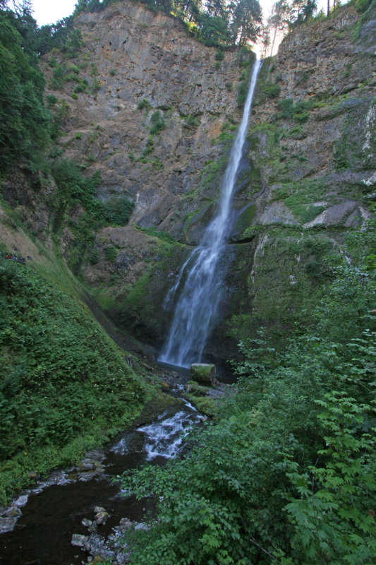 IMG_5566.JPG