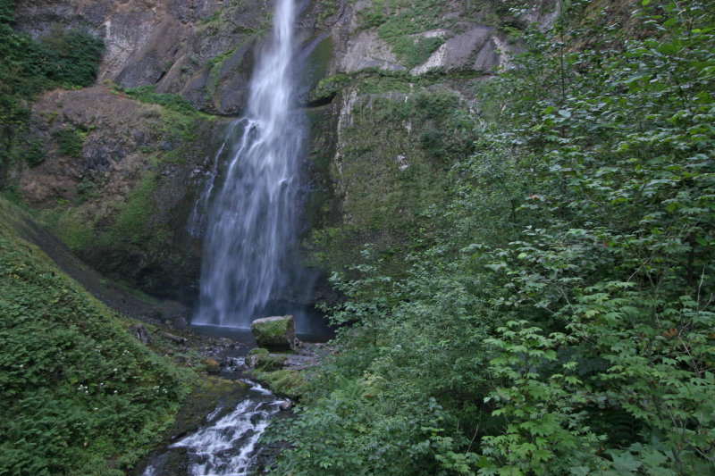 IMG_5567.JPG