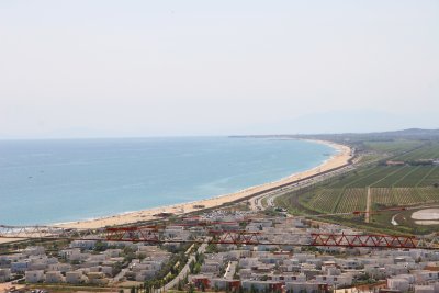 IMG_2372.JPG