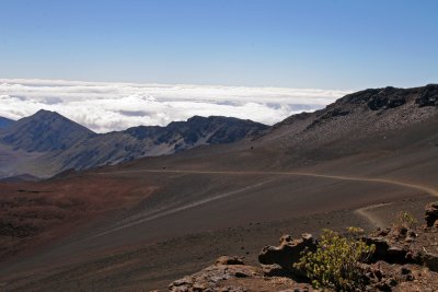 IMG_3753.JPG