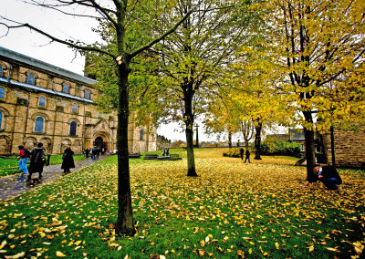 Autumn colour outside the cathedral