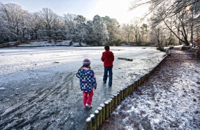 10 January - that's the pond side not the path side!