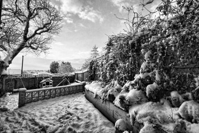 3 February - Snow garden