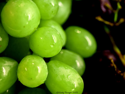 25 February - Grapes