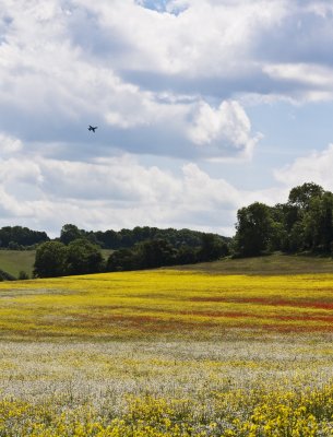 Jet fighter over the flower field