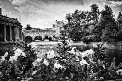 Flowers and the Weir