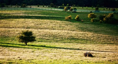 16 August - evening sun