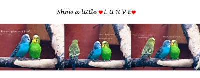 27 August - TITC: Show a little love...