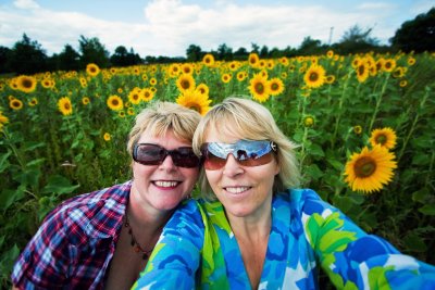 30 August - Sunflower heaven