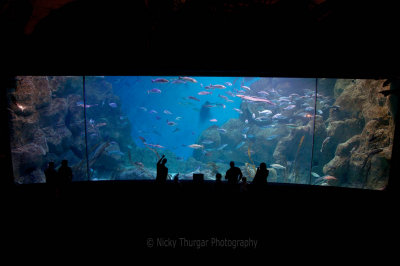 8 October - Plymouth Aquarium