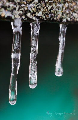 6 December - Icy Icicles
