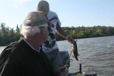 Mike catches another one!