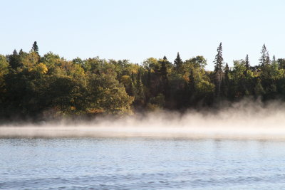 Early morning fog on lake