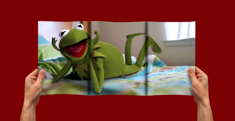 Kermits-hard-times.jpg