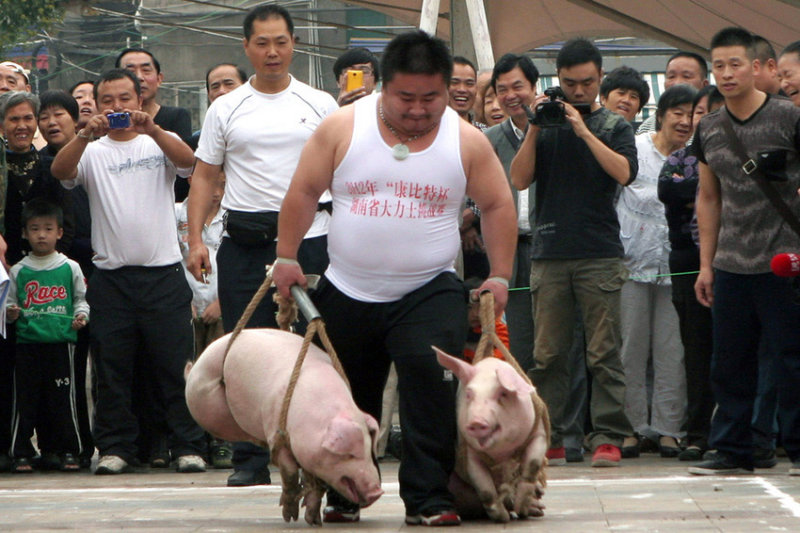 hog-handler-O.jpg