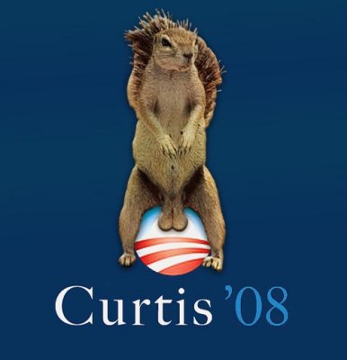 Curtis-08.jpg