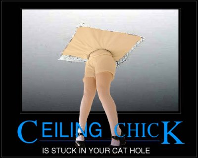 Ceiling-Chick.jpg