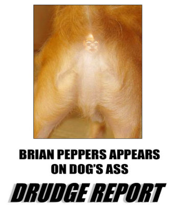 Pepper-Dog.jpg