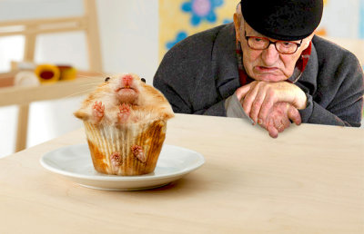 Muffin-Critter.jpg
