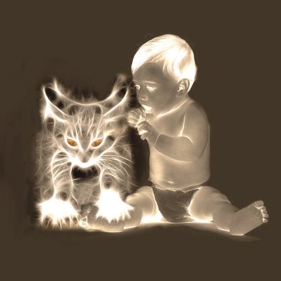 Light-Cat.jpg