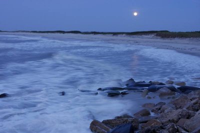 Moonset Over The Wildlife Preserve - Merit Award