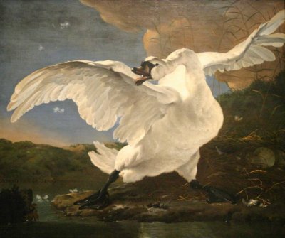 Jan Asselijn's Threatened Swan