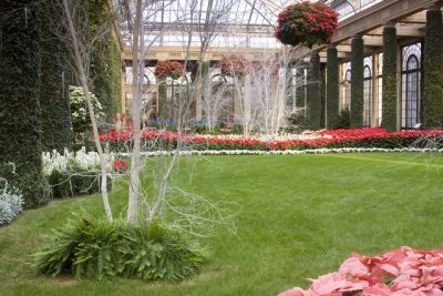 Looking east in the main conservatory.