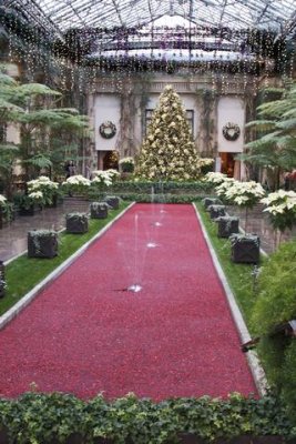 A pool of cranberries in the main conservatory, towards the music room.