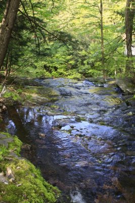 4.  A run behind the Glen Falls Inn.