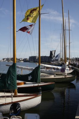 THE DOWNBAY REGATTA - 2010