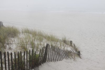 A FOGGY MORNING AT BEACH HAVEN