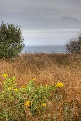 4.  Looking over the edge of the dunes at the edge of the salt marsh.