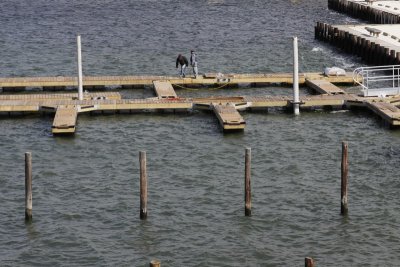 39.  Assembling the first (B) floating dock.