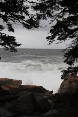 THE EFFECTS OF THE NOR'EASTER