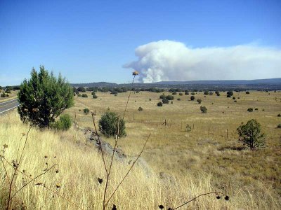 Smoke on the horizon