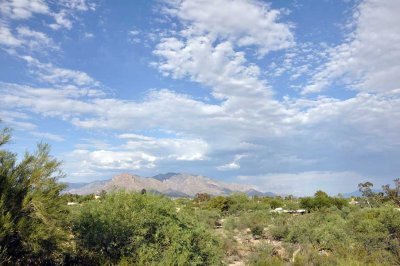 Back in Tucson again!
