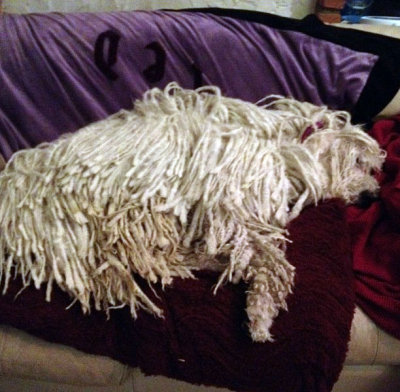 Holy corded couch potato!