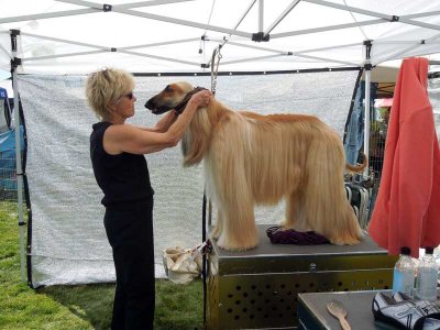 Prettying up for the show