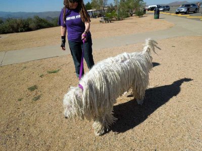 At the Sunset Point rest area