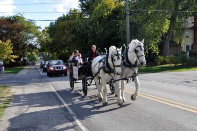 Horse-drawn cart rides start at the mill