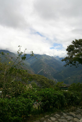 Yungas